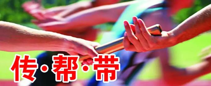 implantar el sistema de gestión de mentoring.