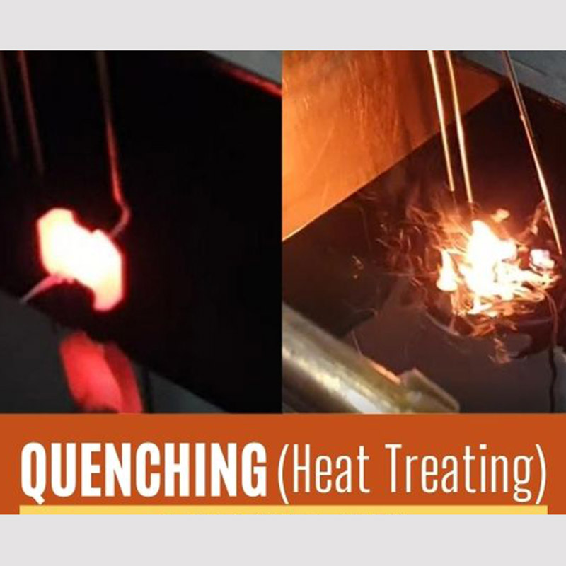 ¿Cuánto sabes sobre el proceso de extinción? Parte 2