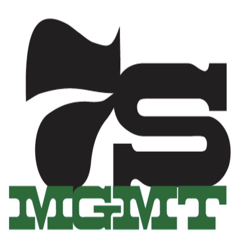 lejano oriente excelente tecnología está a punto de implementar el sistema de gestión 7S
